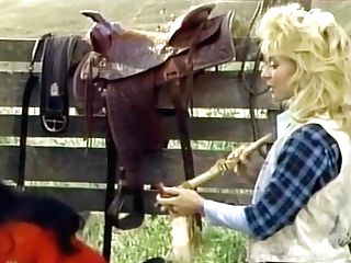 Saddle Tramp [1988]